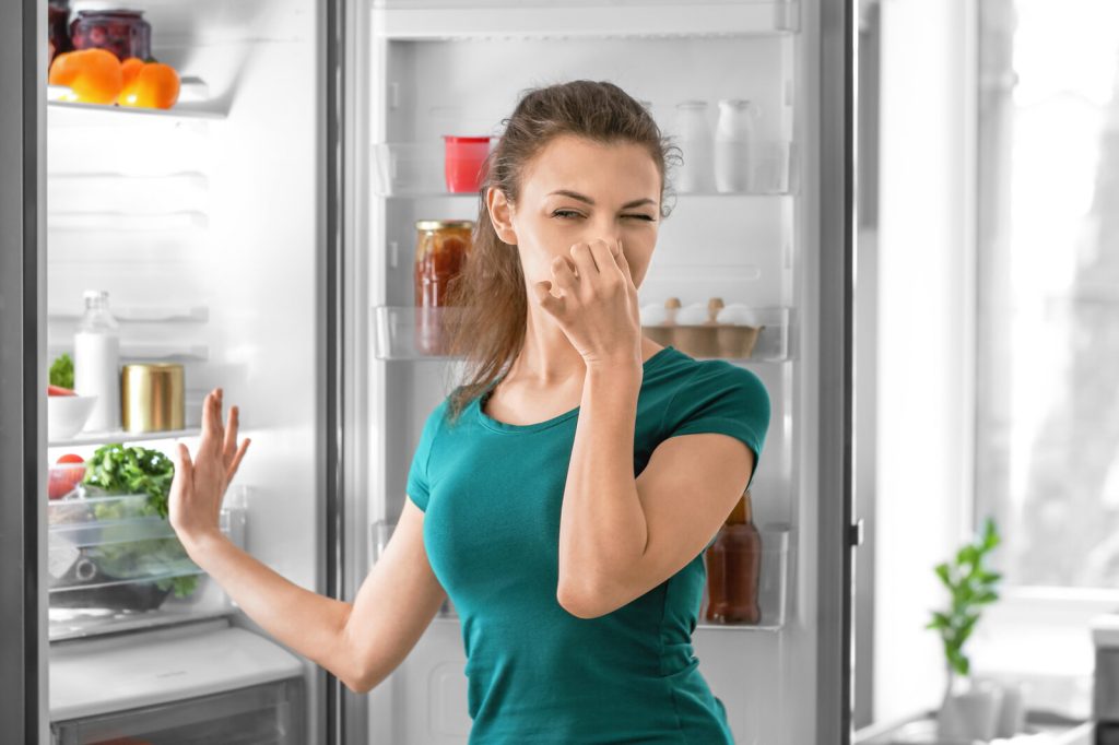 Kühlschrank reinigen: So entfernen Sie Fett und Gerüche