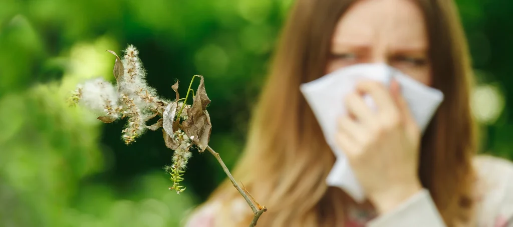 Saisonale Allergie im Frühling: Ursachen, Vorbeugung und Behandlung Saisonale Allergie im Frühling: Ursachen, Vorbeugung und Behandlung