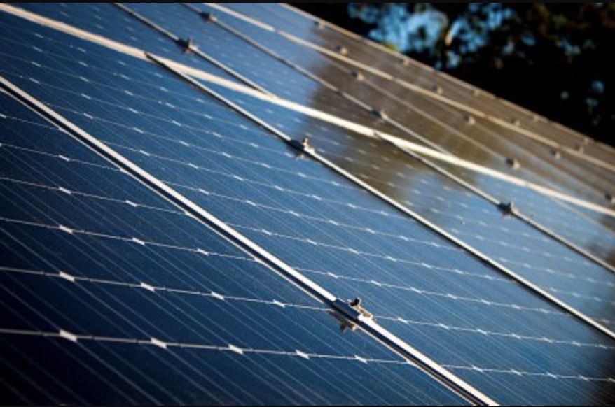 Solarmodule im Vergleich: Worauf es bei Leistung, Wirkungsgrad und Langlebigkeit wirklich ankommt