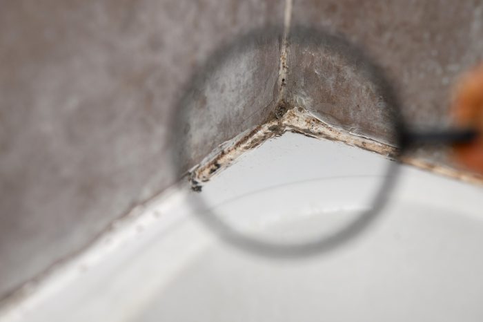Schimmel im Bad bekämpfen: Ursachen, Tipps und Kosten