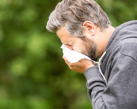 Wie unterscheidet man Schnupfen von Allergie? Symptome, Vorbeugung und Behandlung