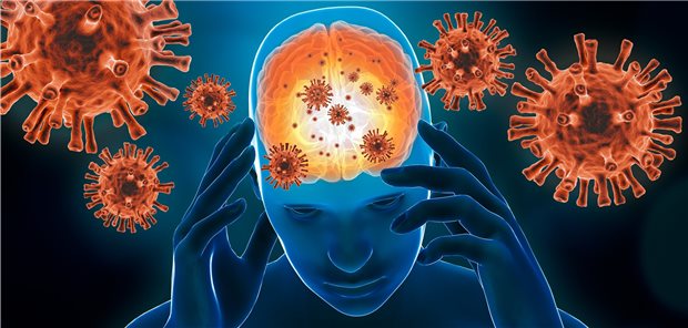Bornavirus in Bayern: Was ist BoDV-1, welche Symptome gibt es und wie wird das Virus übertragen?
