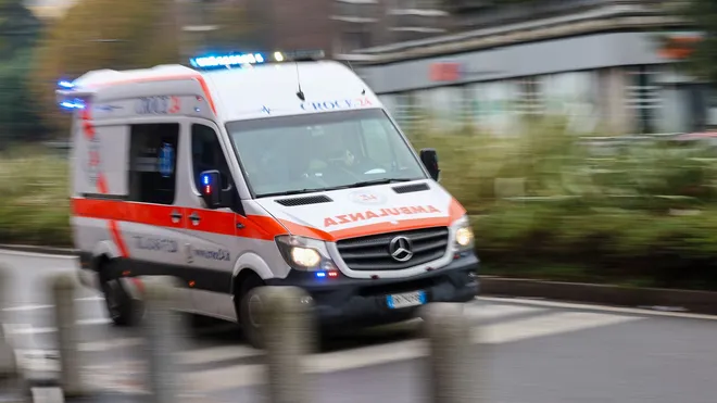 Bornavirus-Erkrankung in Mecklenburg-Vorpommern bestätigt: Symptome und Schutzmaßnahmen