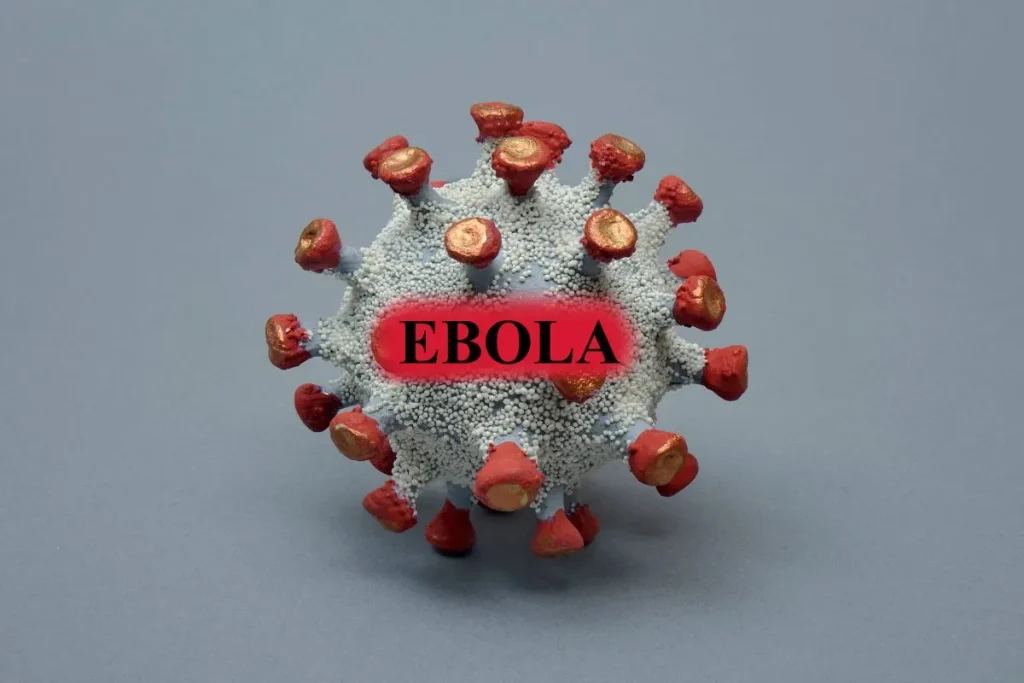 Ebola-Ausbruch 2026: Welche Symptome auftreten und wie groß die Gefahr für Deutschland ist