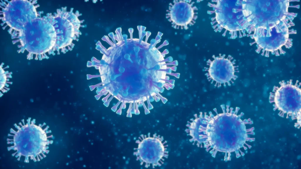 Bornavirus in Bayern: Was ist BoDV-1, welche Symptome gibt es und wie wird das Virus übertragen?