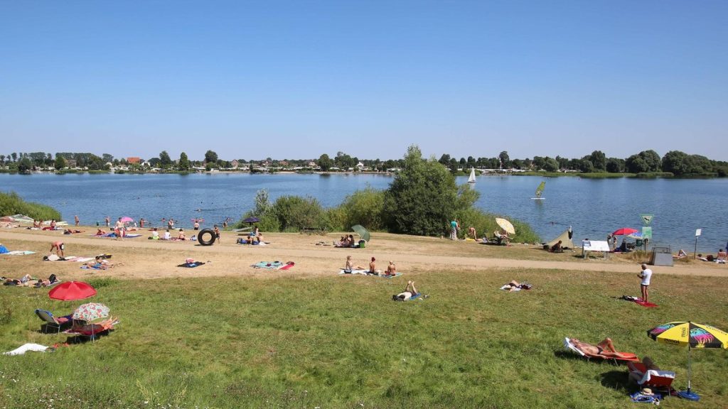Sommer in Hamburg 2026: die schönsten Badeseen, Naturbäder und Routen
