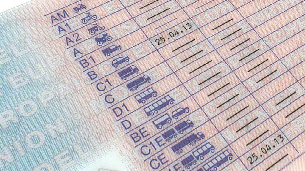 Führerschein in Deutschland 2026: Kosten, Klassen und Umtausch alte Lappen