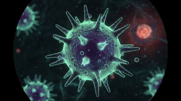 Norovirus: Was ist das für eine Infektion, Symptome, Übertragung und Behandlung